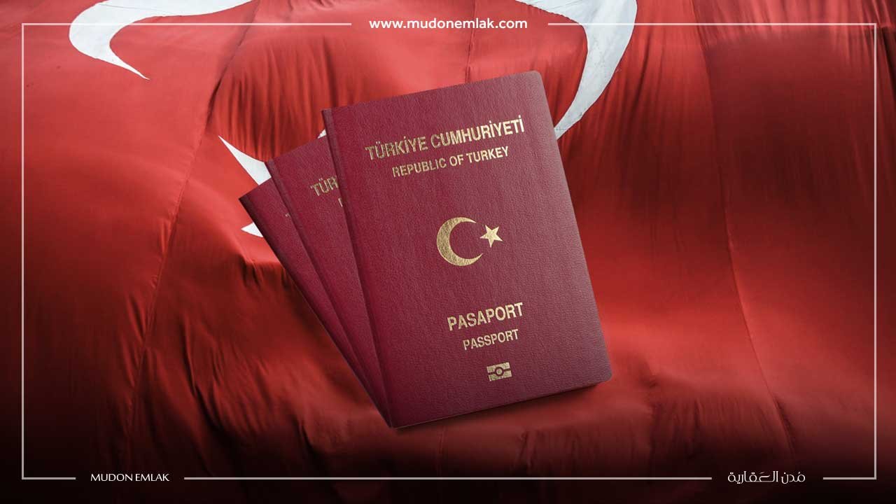 ملف التجنيس في تركيا