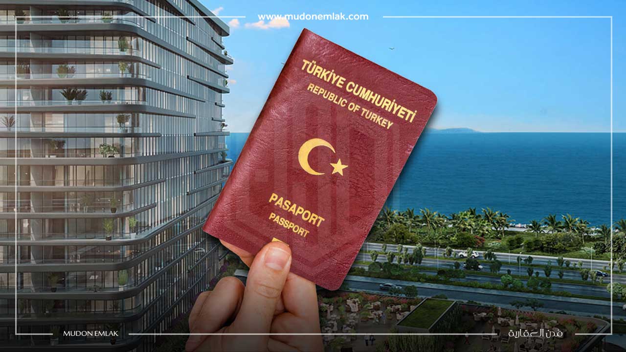 التجنيس في تركيا