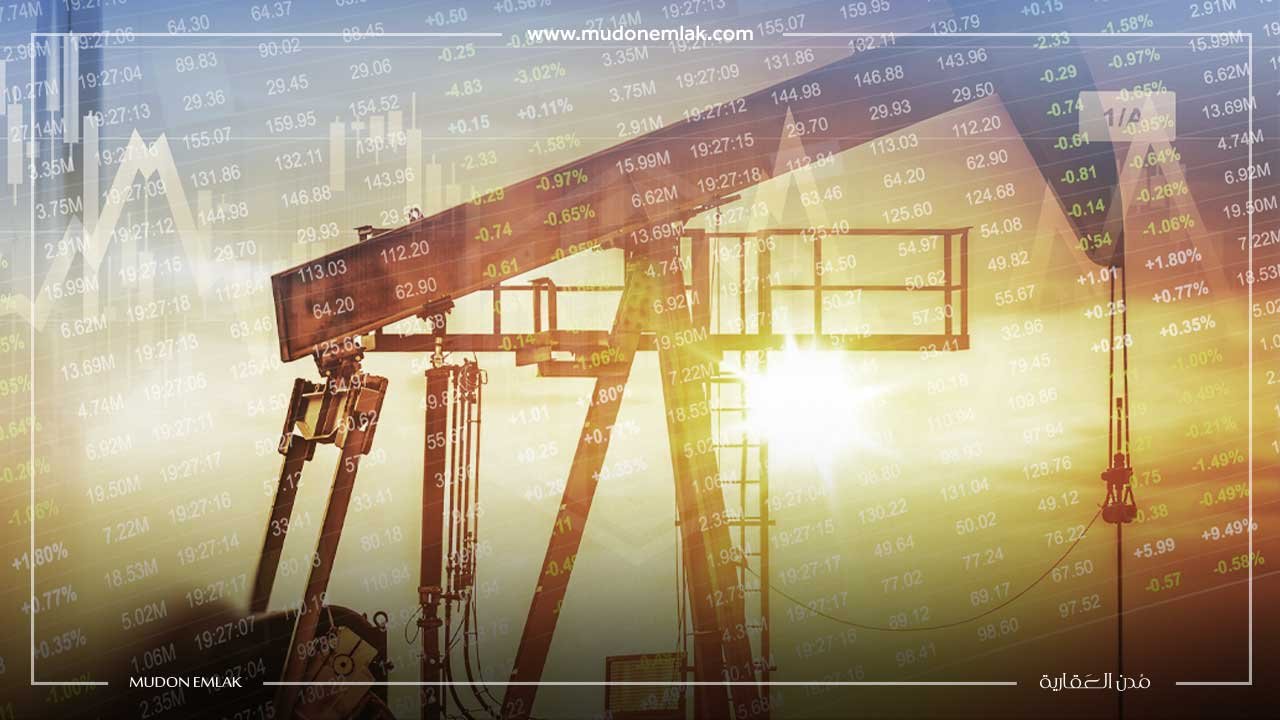 ضخّ 50 مليار دولار في الاقتصاد التركي عبر أرامكو السعودية